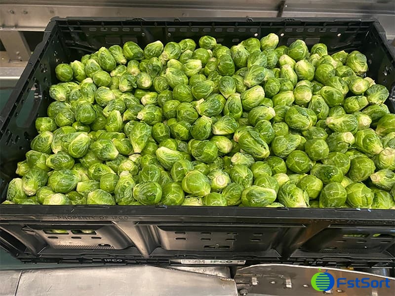 images/1753866354604clasificador de rodillos ajustable.jpg